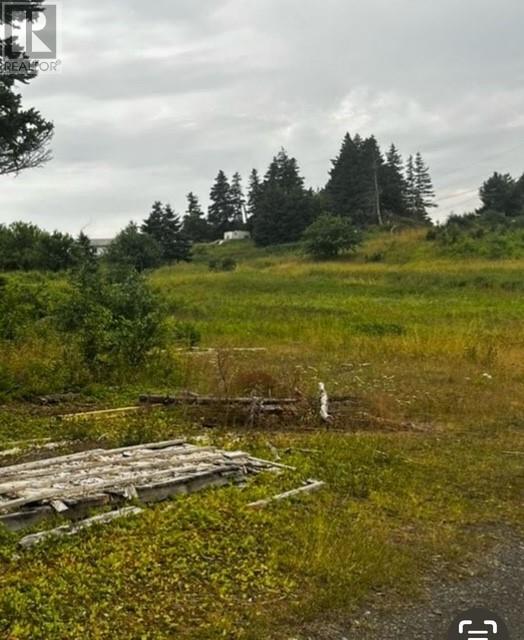 76b Island Drive, Summerford, Newfoundland & Labrador  A0G 4E0 - Photo 4 - 1296542