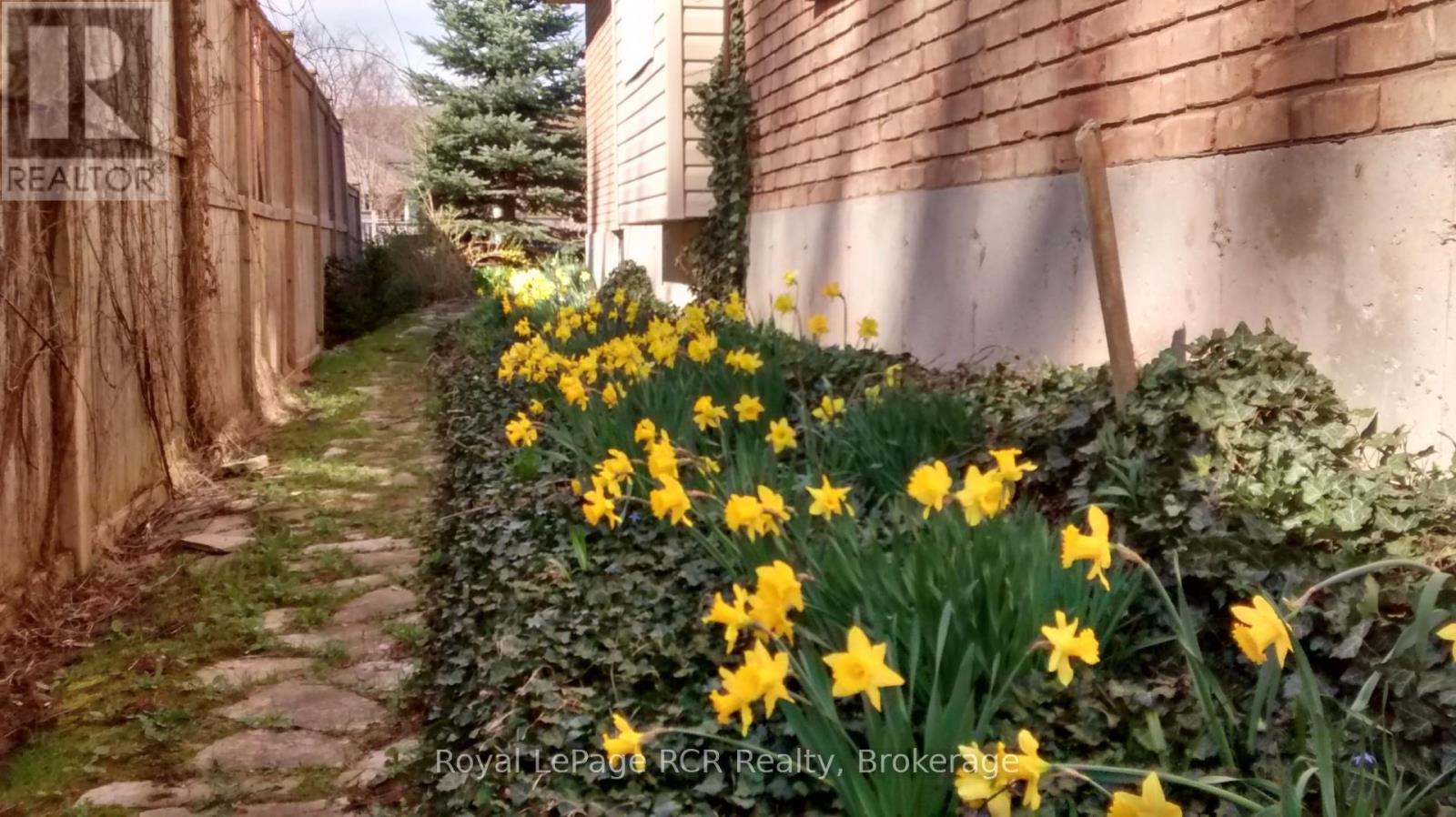 335 3rd Avenue W, Owen Sound, Ontario  N4K 6Y9 - Photo 6 - X12753906