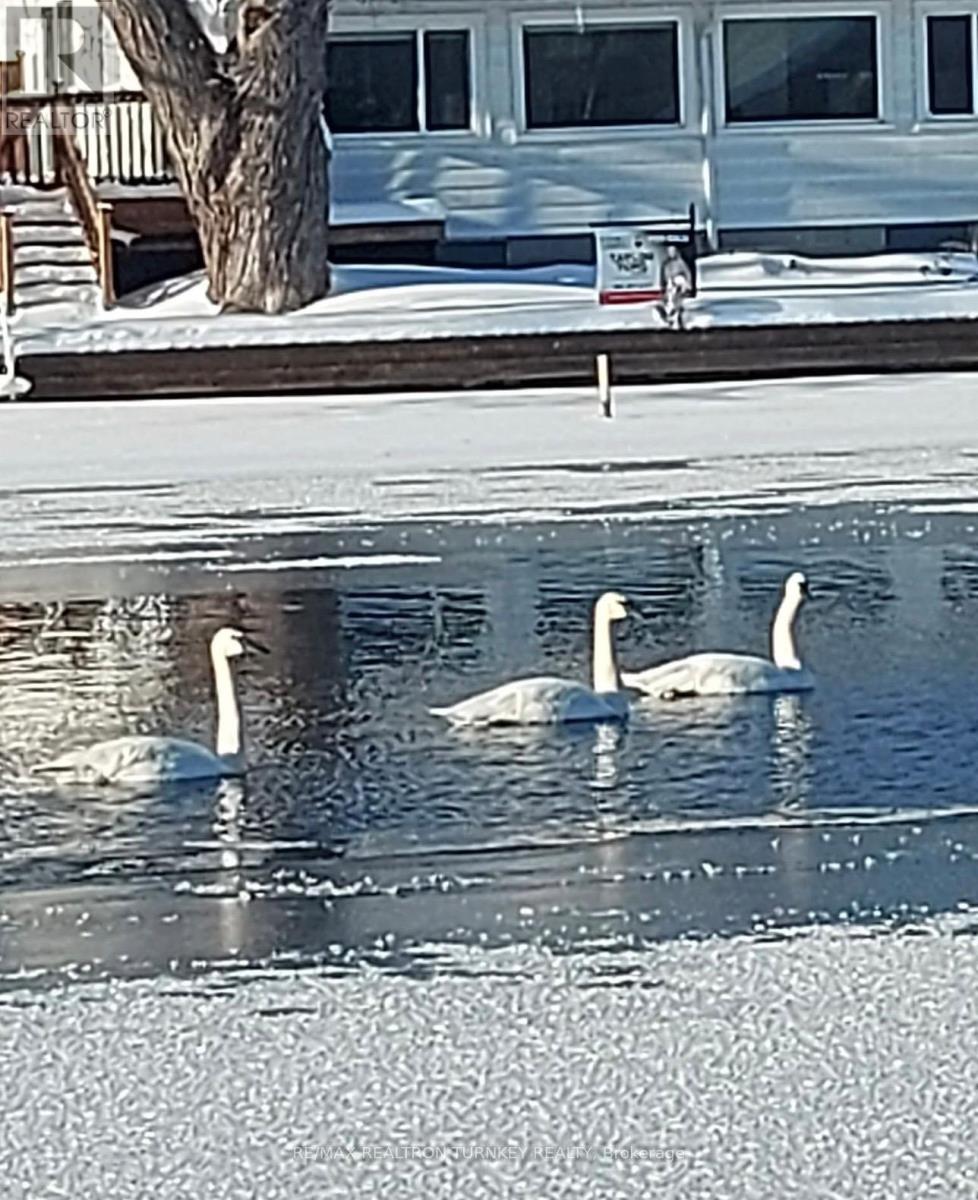 15 North Water Street, Kawartha Lakes, Ontario  K0M 1K0 - Photo 50 - X13037650