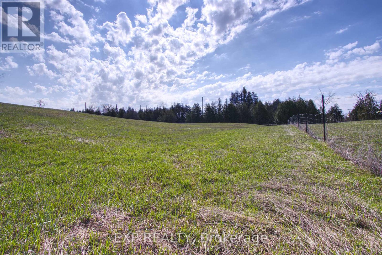 0 Webster Road, Douro-Dummer, Ontario  K0L 2V0 - Photo 8 - X13038244