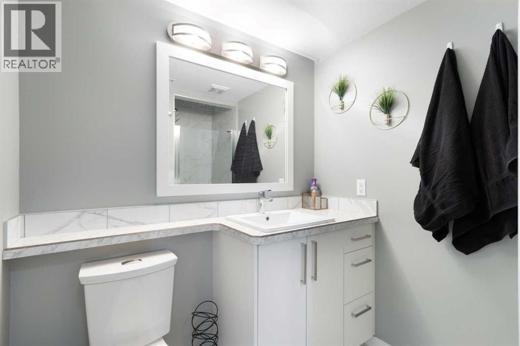 172 Rundlefield Crescent Ne, Calgary, Alberta  T1Y 2V5 - Photo 25 - A2302544