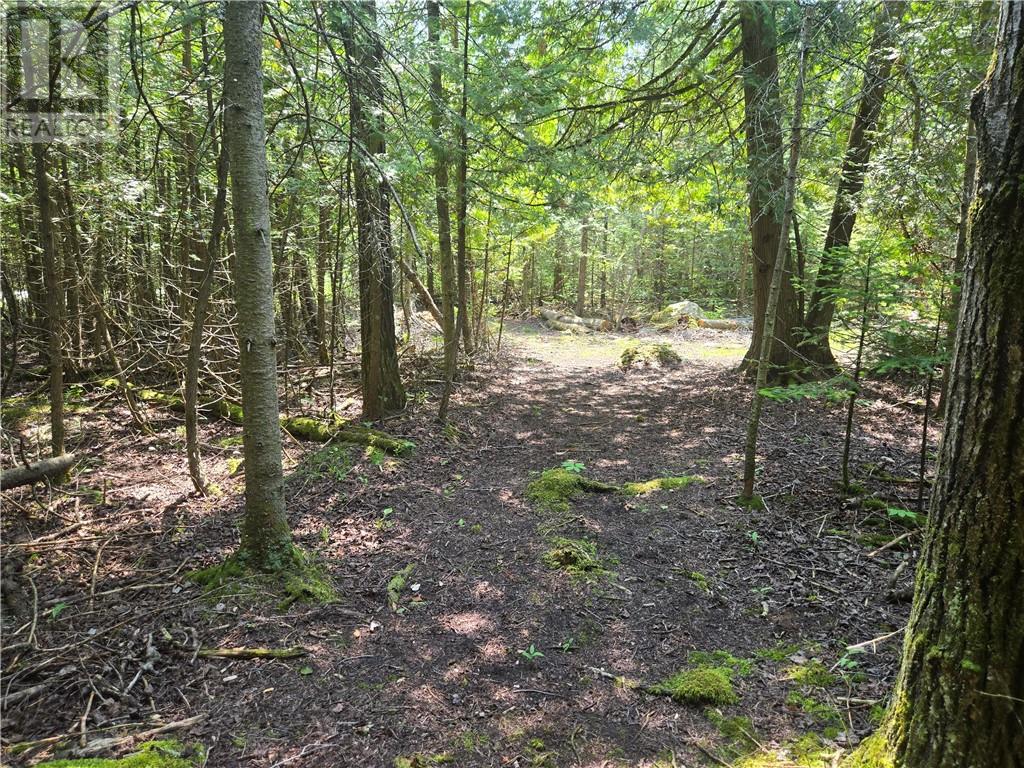 520 Goose Gap Cres, Barrie Island, Ontario  P0P 1H0 - Photo 15 - 2127227