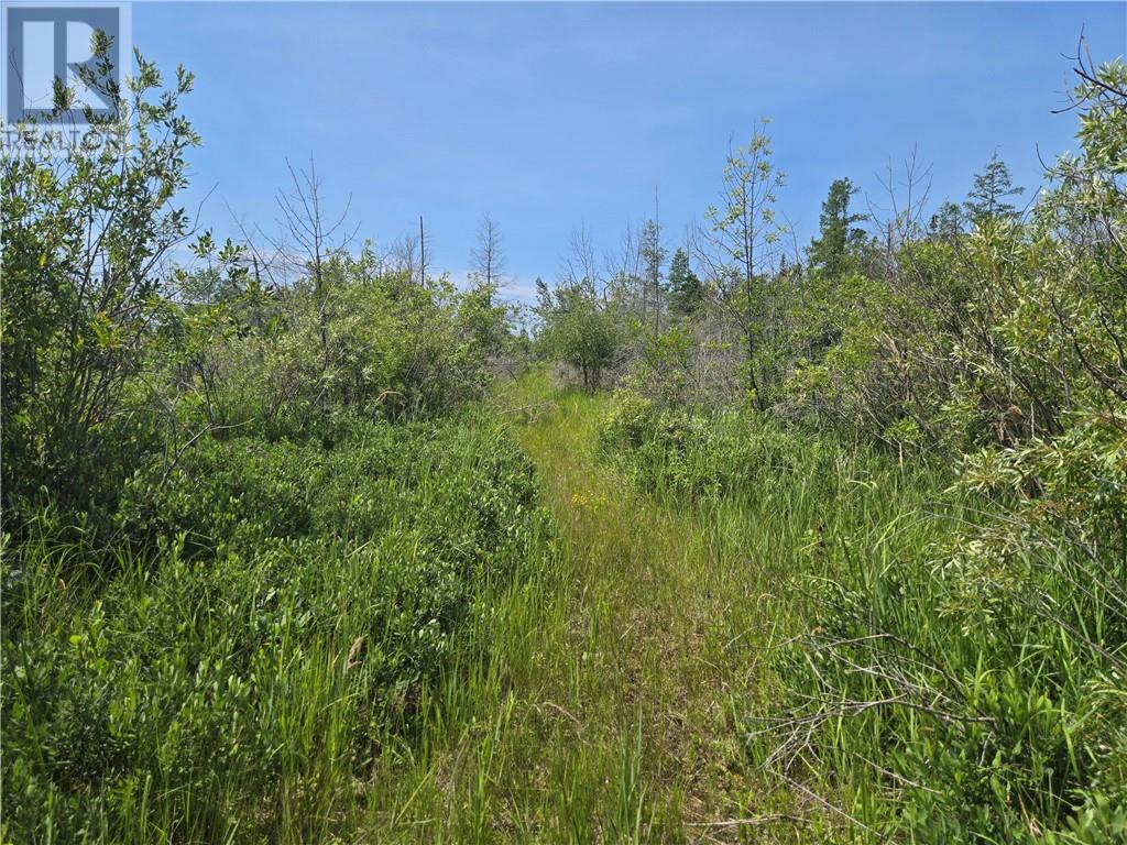 520 Goose Gap Cres, Barrie Island, Ontario  P0P 1H0 - Photo 17 - 2127227