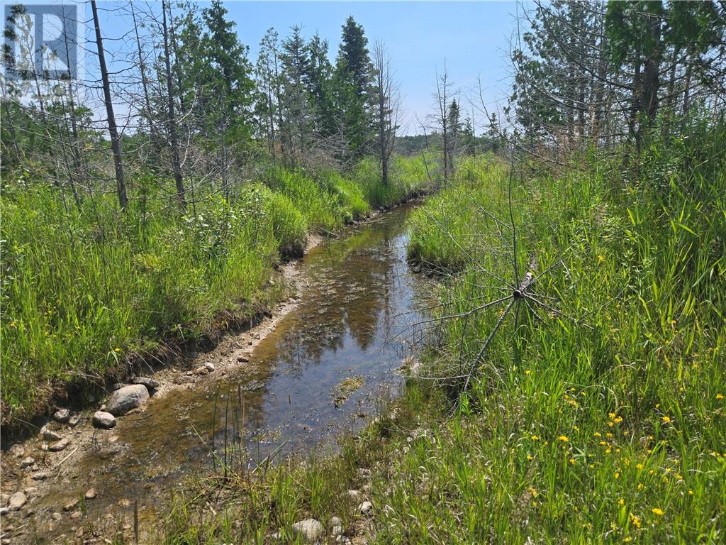 520 Goose Gap Cres, Barrie Island, Ontario  P0P 1H0 - Photo 18 - 2127227