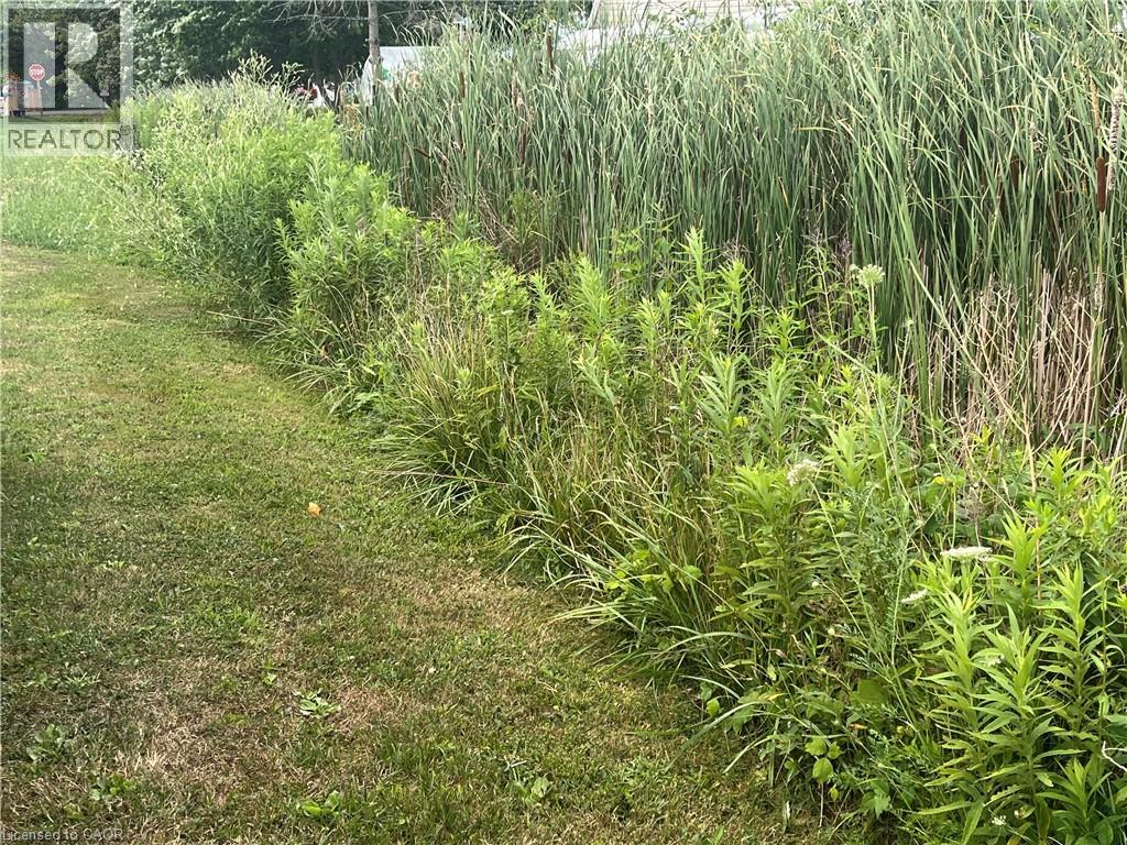 17 Dickhout Road, Dunnville, Ontario  N0A 1K0 - Photo 2 - 40823338