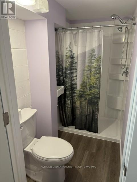 64 Martin Street W, Thorold, Ontario  L2V 3X4 - Photo 9 - X13020118