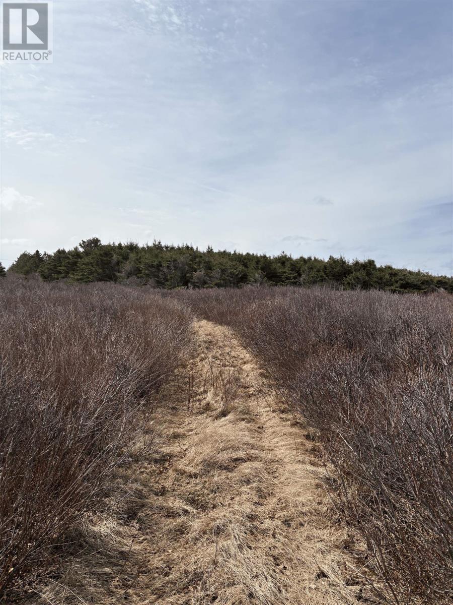 Lot Leopold Frances Lane, St Margaret, Prince Edward Island  C0A 2B0 - Photo 2 - 202608458