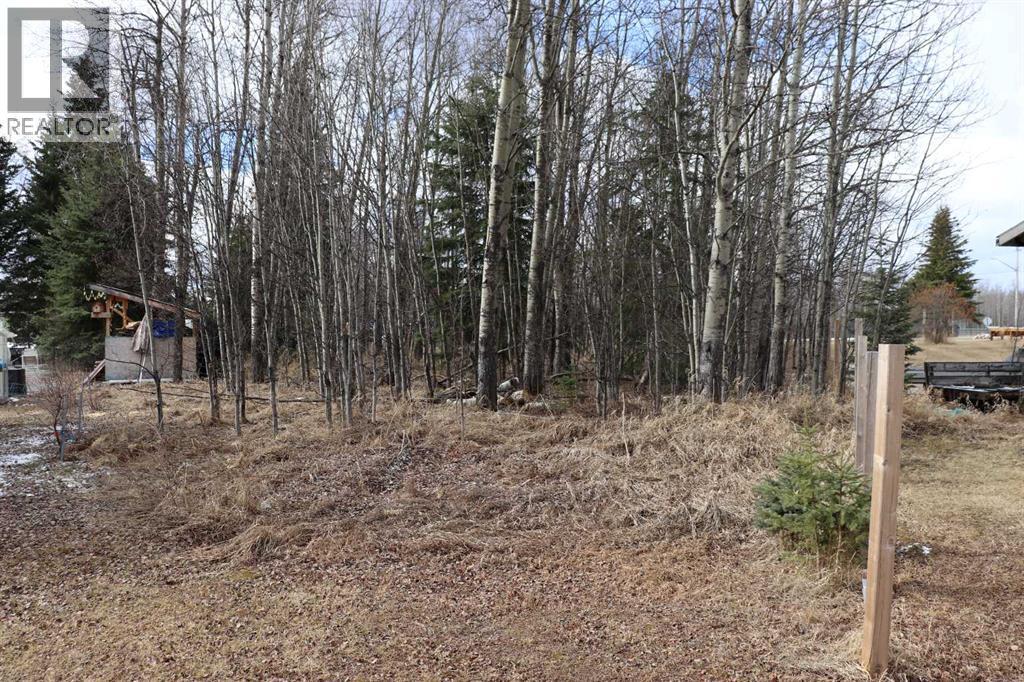 2302 10 Street, Marlboro, Alberta  T7E 3A1 - Photo 22 - A2304721