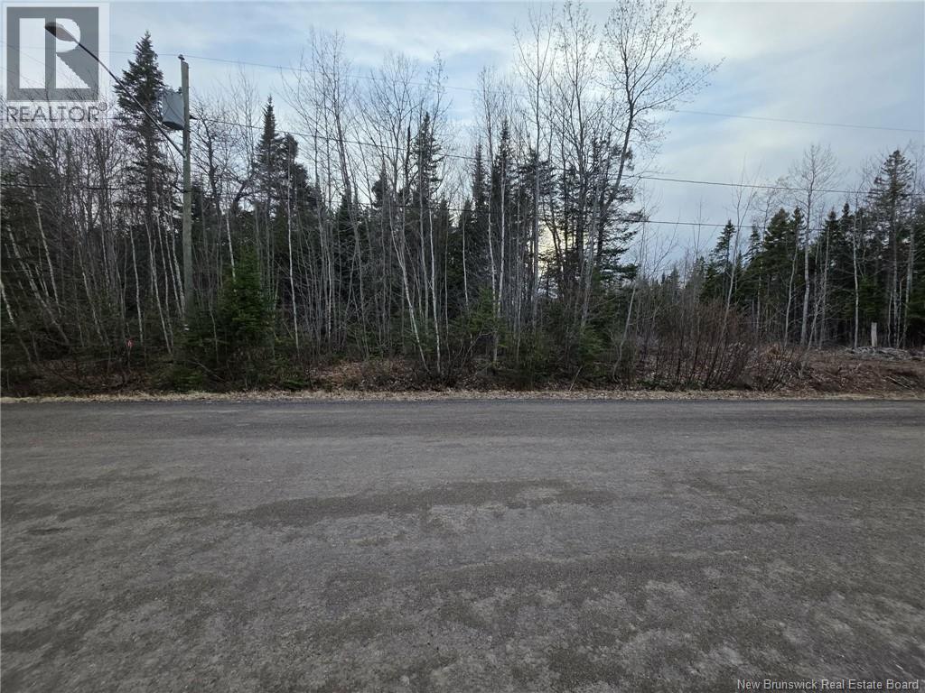 28 Deepwood Avenue, Salisbury, New Brunswick  E4J 2B3 - Photo 1 - NB137830