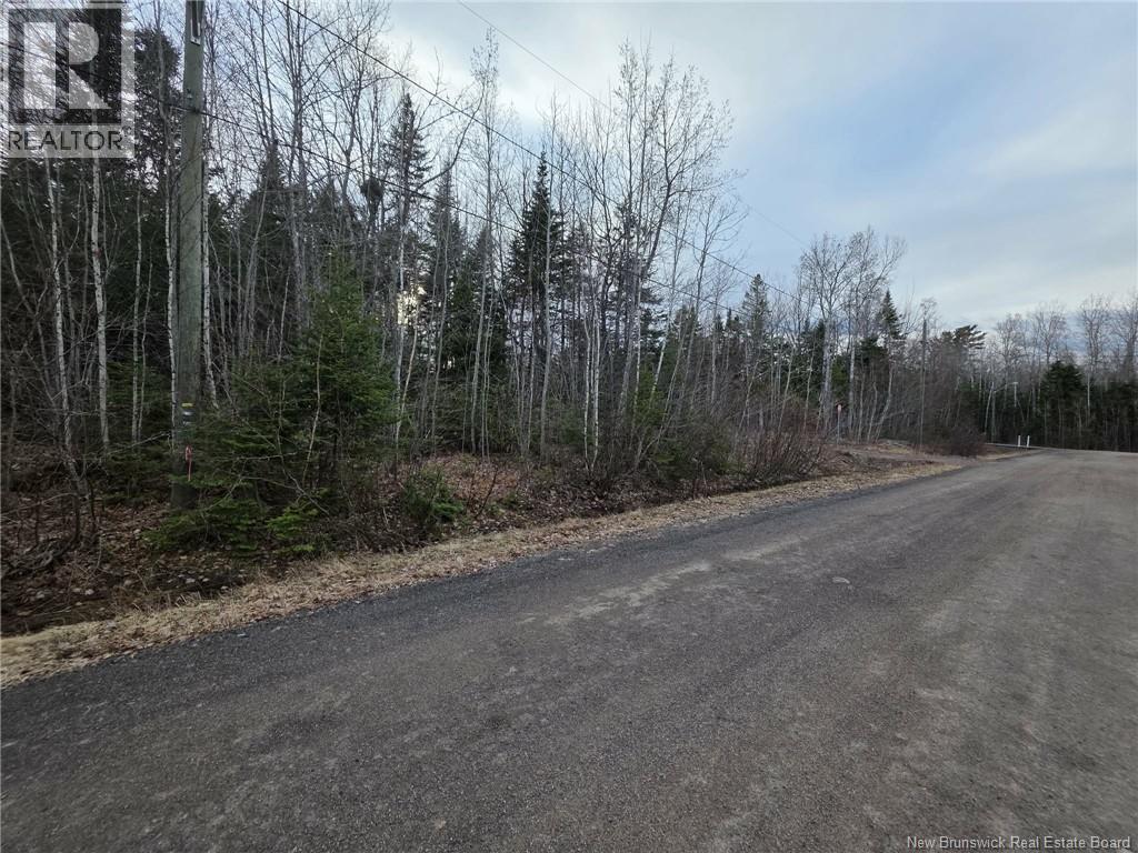 28 Deepwood Avenue, Salisbury, New Brunswick  E4J 2B3 - Photo 2 - NB137830