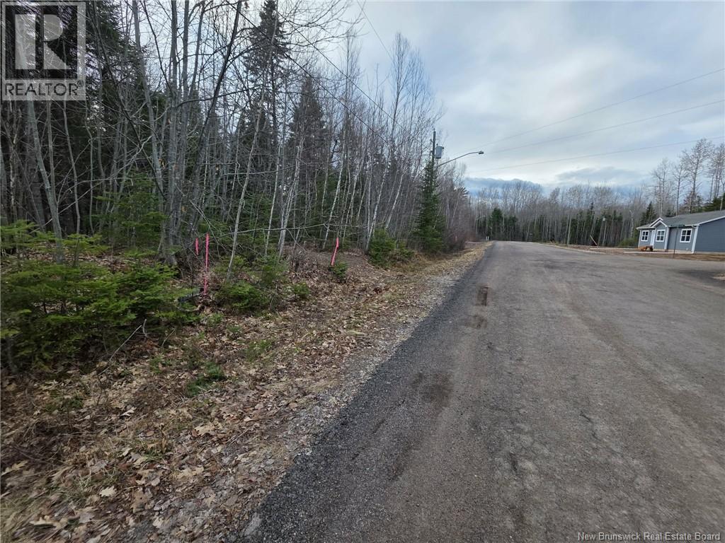 28 Deepwood Avenue, Salisbury, New Brunswick  E4J 2B3 - Photo 3 - NB137830