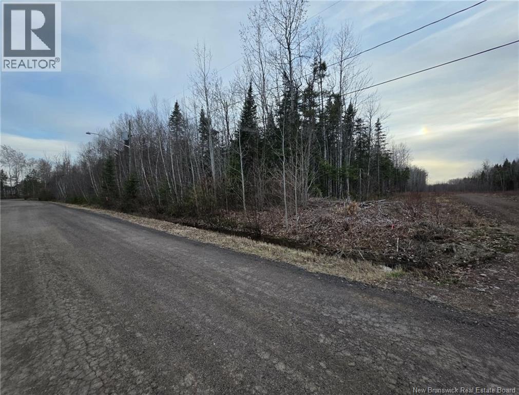 28 Deepwood Avenue, Salisbury, New Brunswick  E4J 2B3 - Photo 4 - NB137830