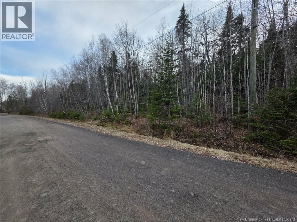 26 Deepwood Avenue, Salisbury, New Brunswick  E4J 2B3 - Photo 3 - NB137845