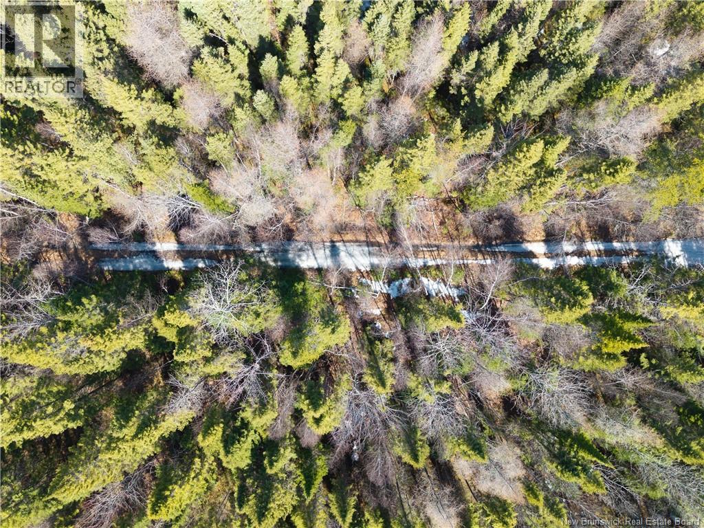 00 South Barnaby River Road, Barnaby River, New Brunswick  E1N 6G2 - Photo 10 - NB137784