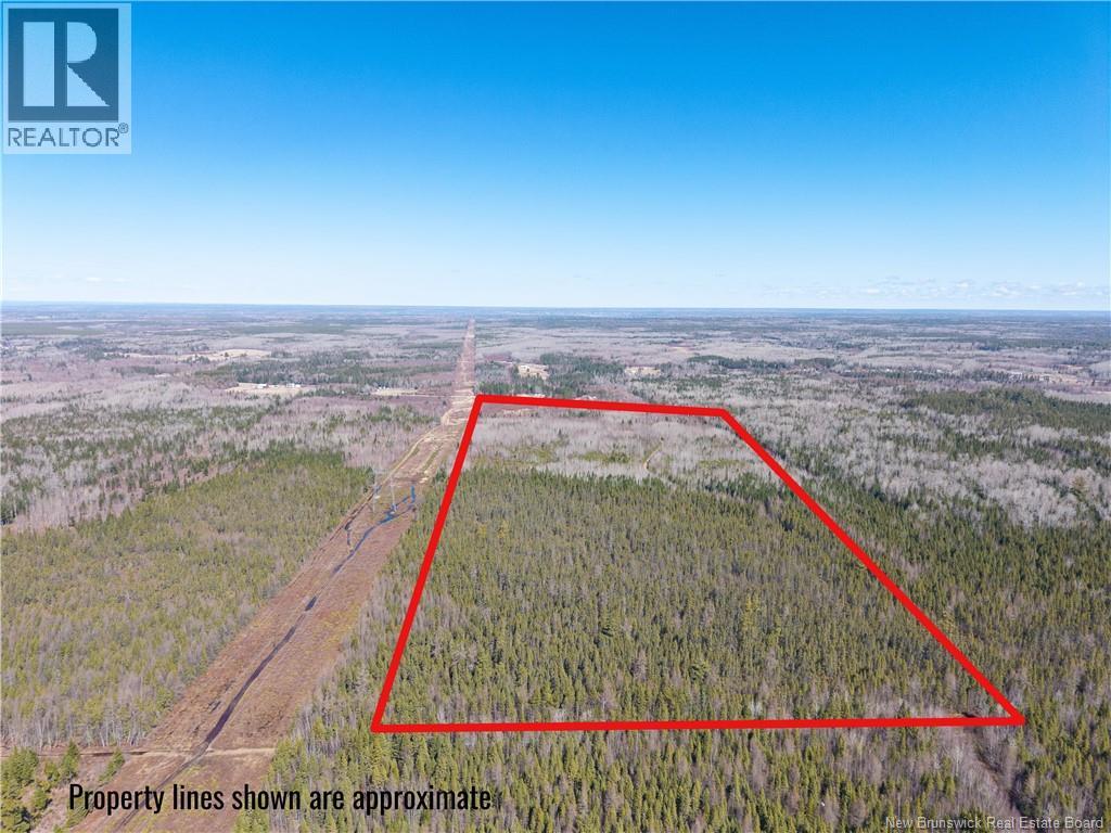 00 South Barnaby River Road, Barnaby River, New Brunswick  E1N 6G2 - Photo 2 - NB137784