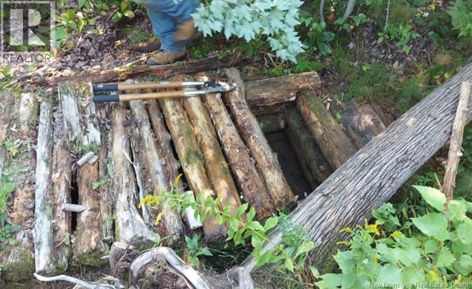 00 South Barnaby River Road, Barnaby River, New Brunswick  E1N 6G2 - Photo 4 - NB137784