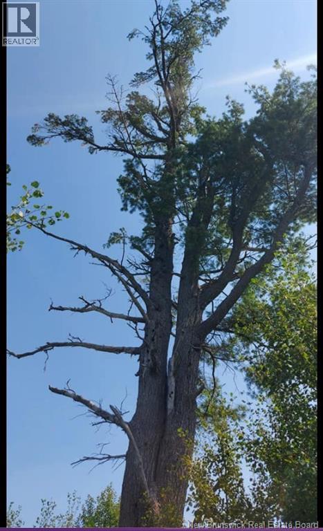 00 South Barnaby River Road, Barnaby River, New Brunswick  E1N 6G2 - Photo 5 - NB137784