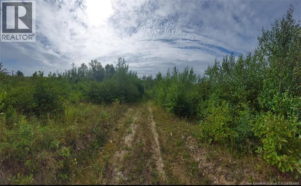 00 South Barnaby River Road, Barnaby River, New Brunswick  E1N 6G2 - Photo 6 - NB137784