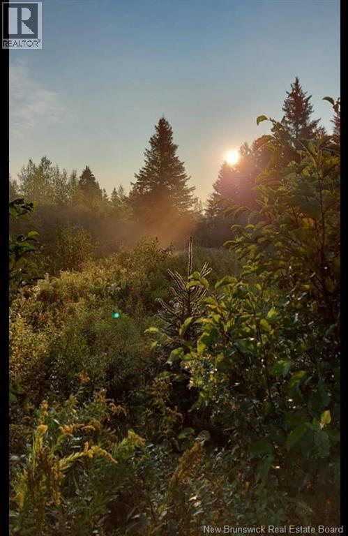 00 South Barnaby River Road, Barnaby River, New Brunswick  E1N 6G2 - Photo 7 - NB137784