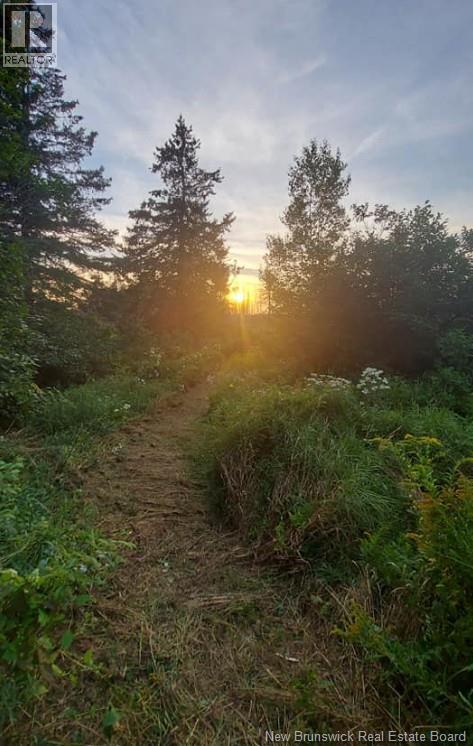 00 South Barnaby River Road, Barnaby River, New Brunswick  E1N 6G2 - Photo 8 - NB137784