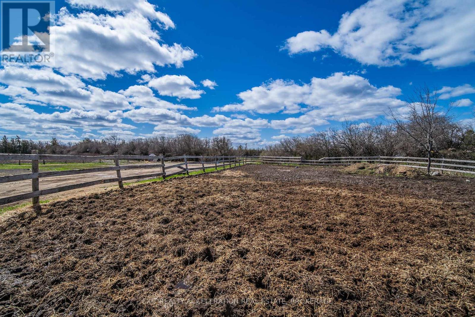 804 County Rd 9, Greater Napanee, Ontario  K7R 0E4 - Photo 15 - X13039950