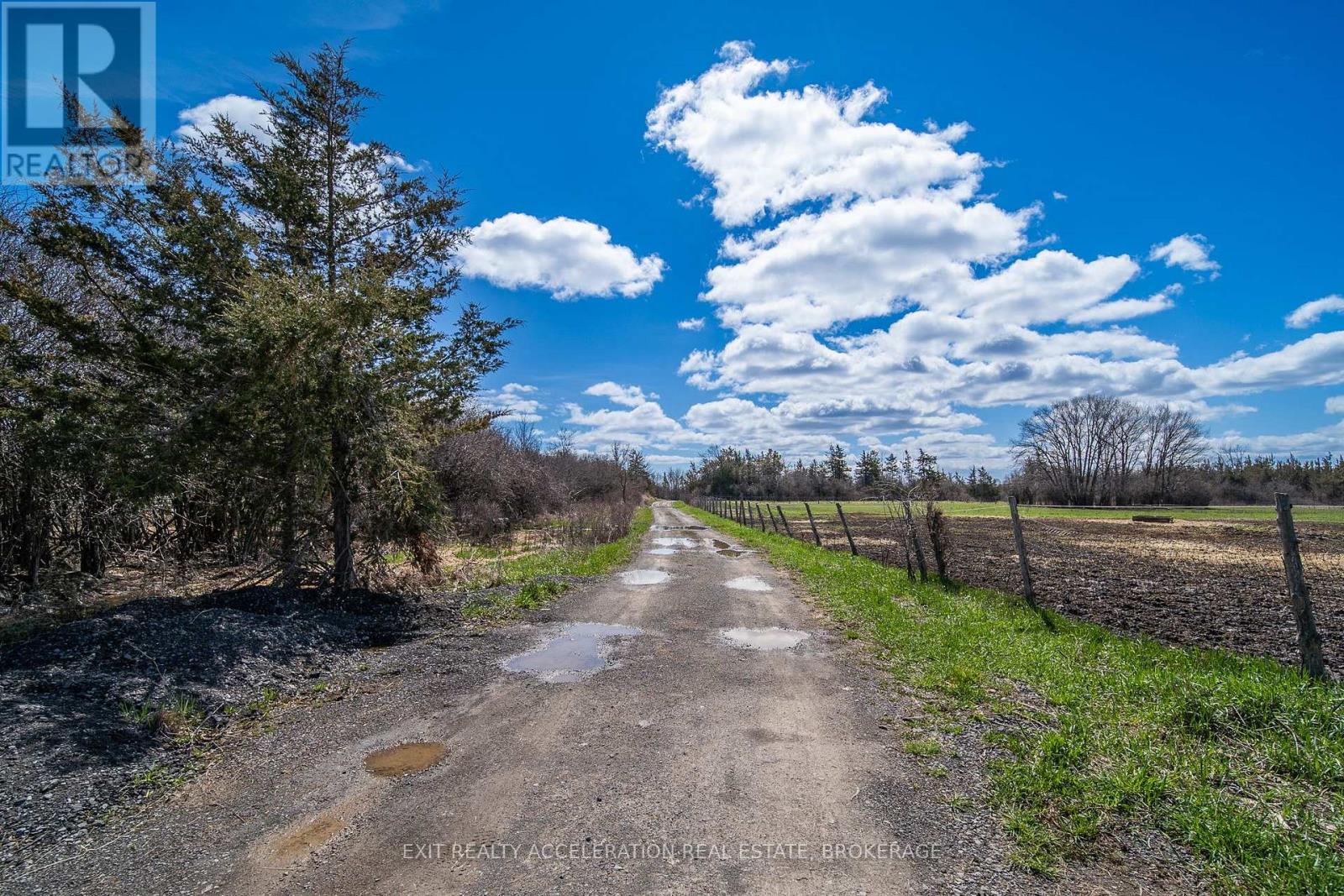 804 County Rd 9, Greater Napanee, Ontario  K7R 0E4 - Photo 21 - X13039950