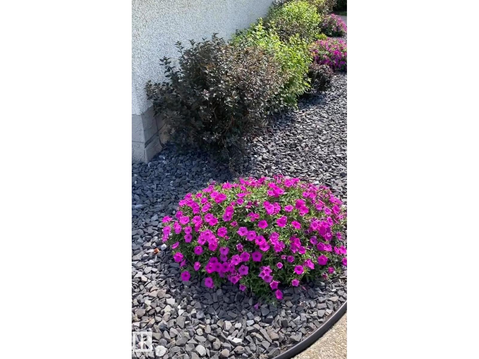 7719 71 Av Nw, Edmonton, Alberta  T6C 0A9 - Photo 36 - E4483979