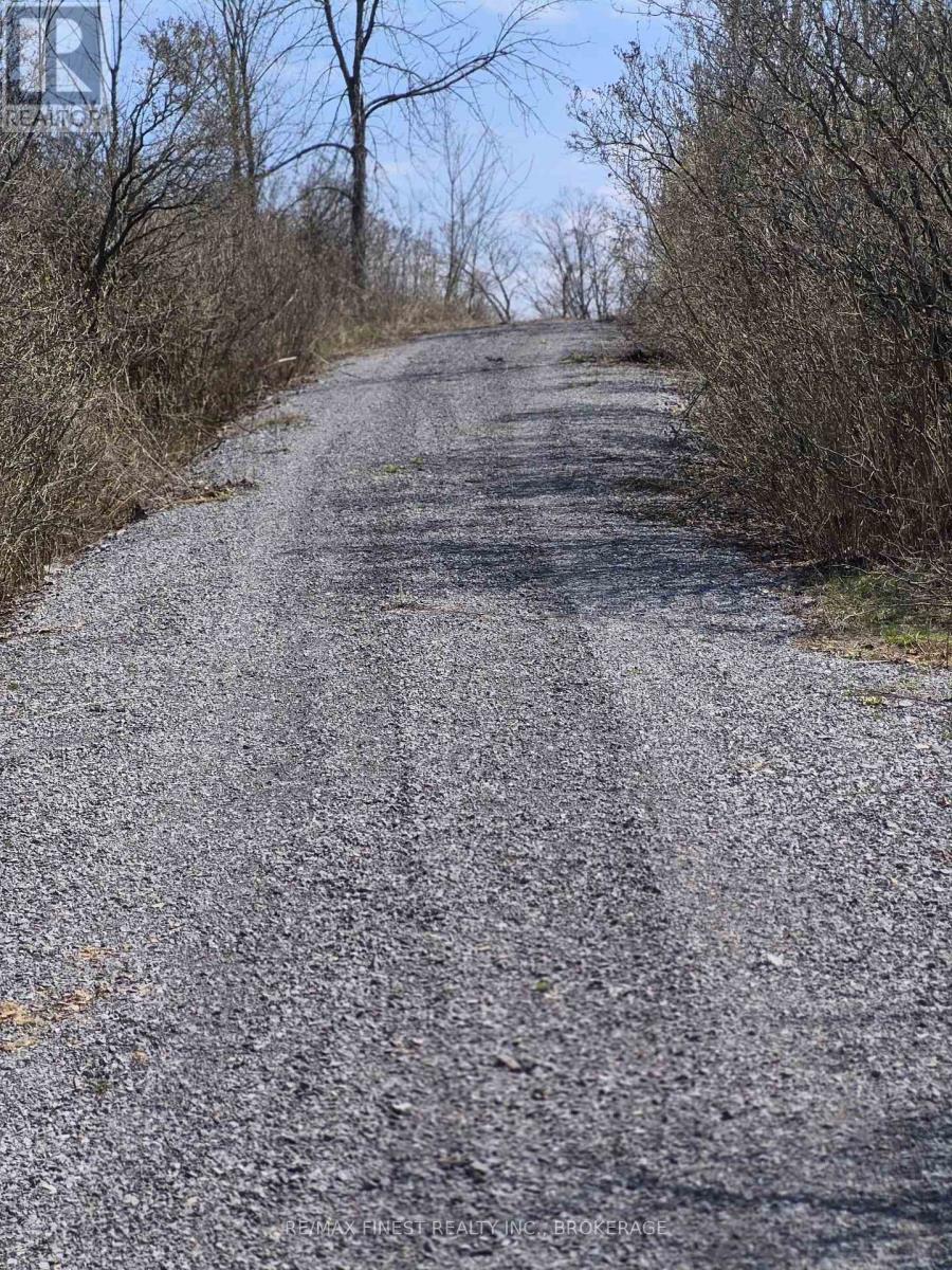 Lot 2 Petworth Road, Stone Mills, Ontario  L0L 3N0 - Photo 7 - X13039404