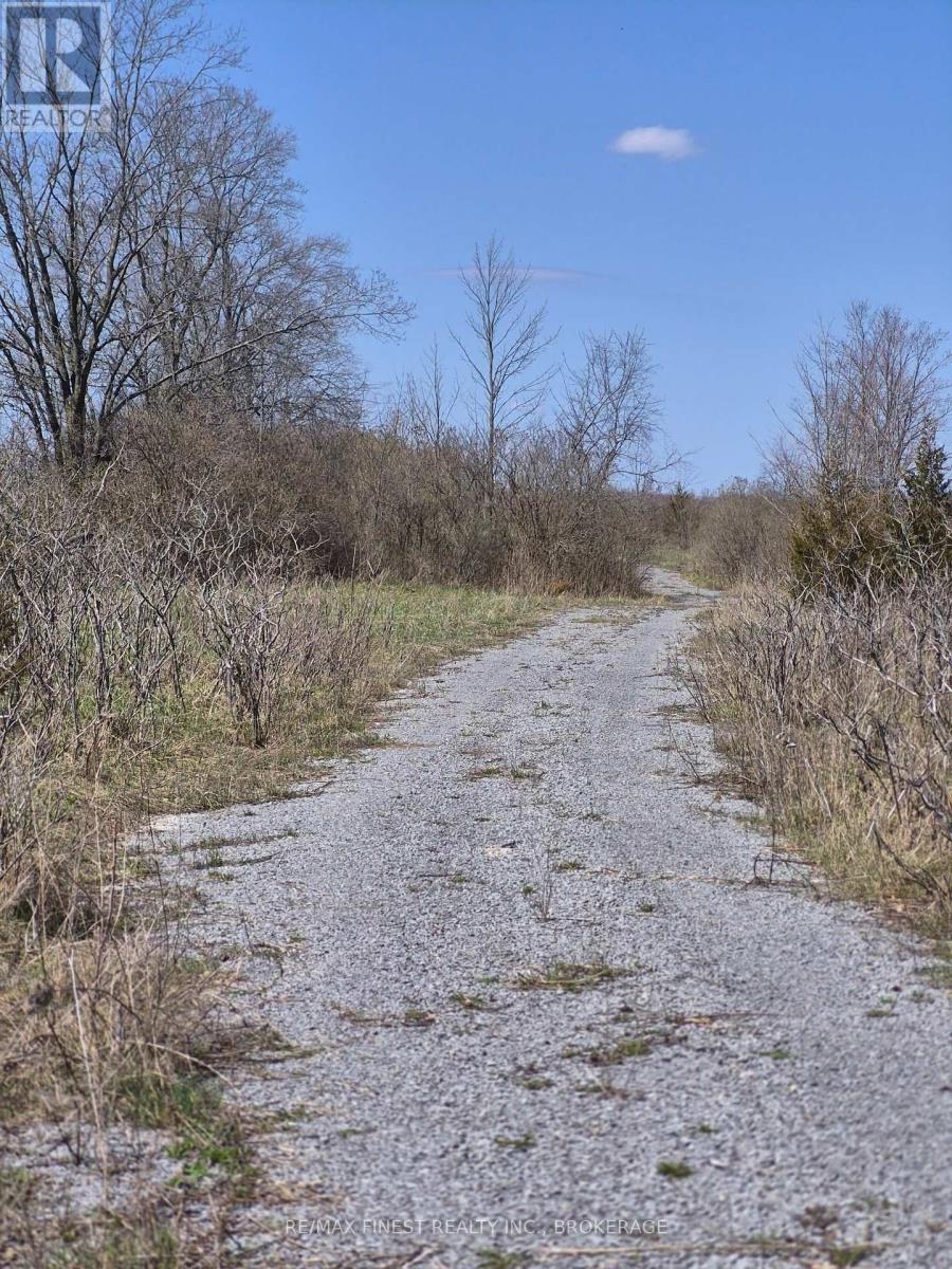 Lot 2 Petworth Road, Stone Mills, Ontario  L0L 3N0 - Photo 5 - X13039404