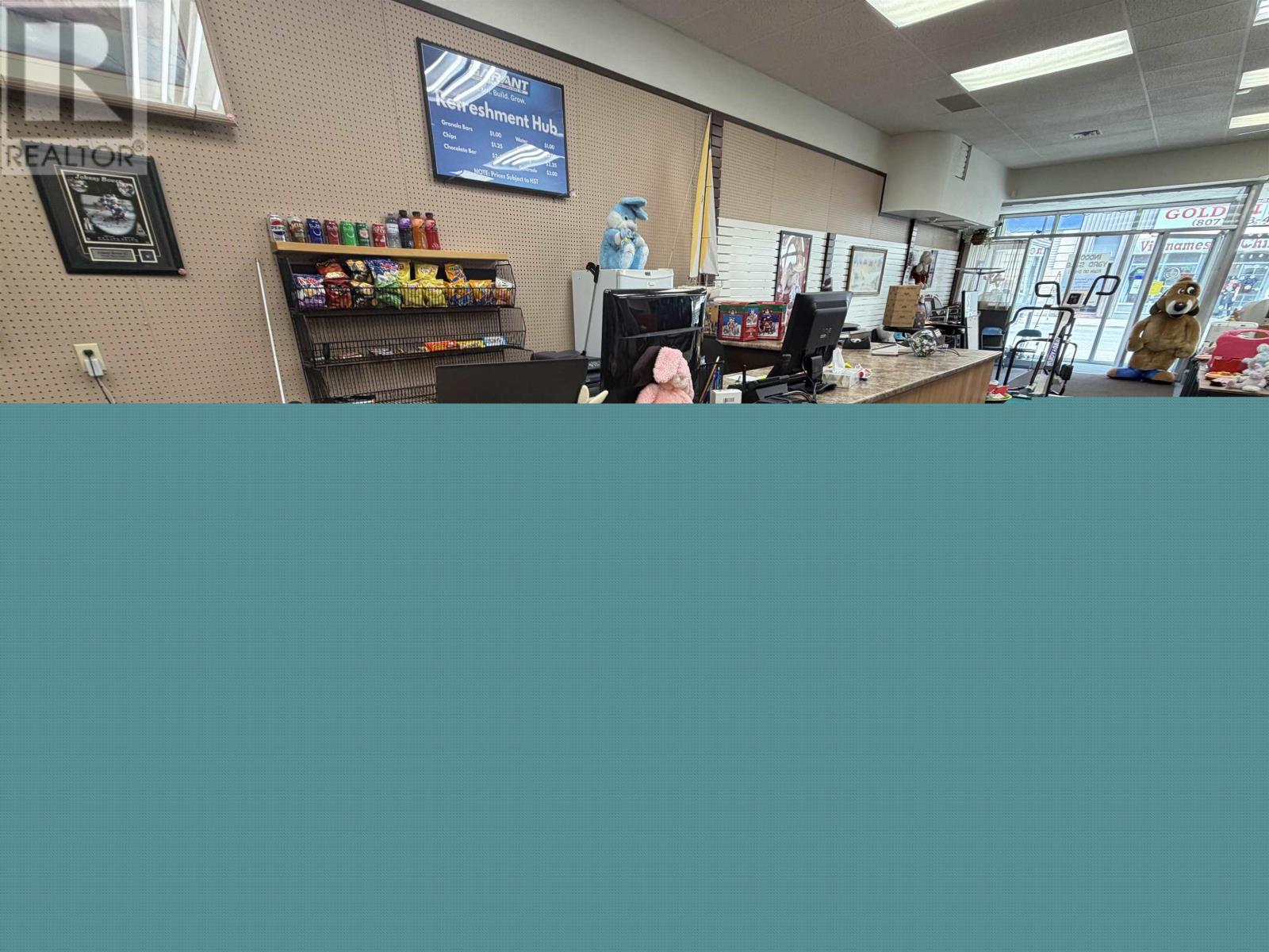 107 May St S, Thunder Bay, Ontario  P7E 1A9 - Photo 10 - TB2600800