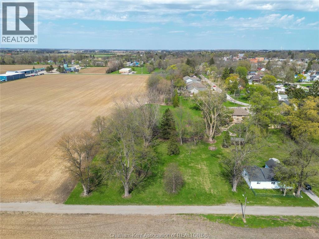 19 Henry Street North, Ridgetown, Ontario  N0P 2C0 - Photo 4 - 26007835