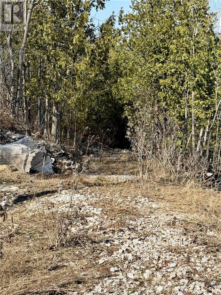 50 Scotts Bluff, Evansville, Ontario  P0P 1E0 - Photo 4 - 2127278