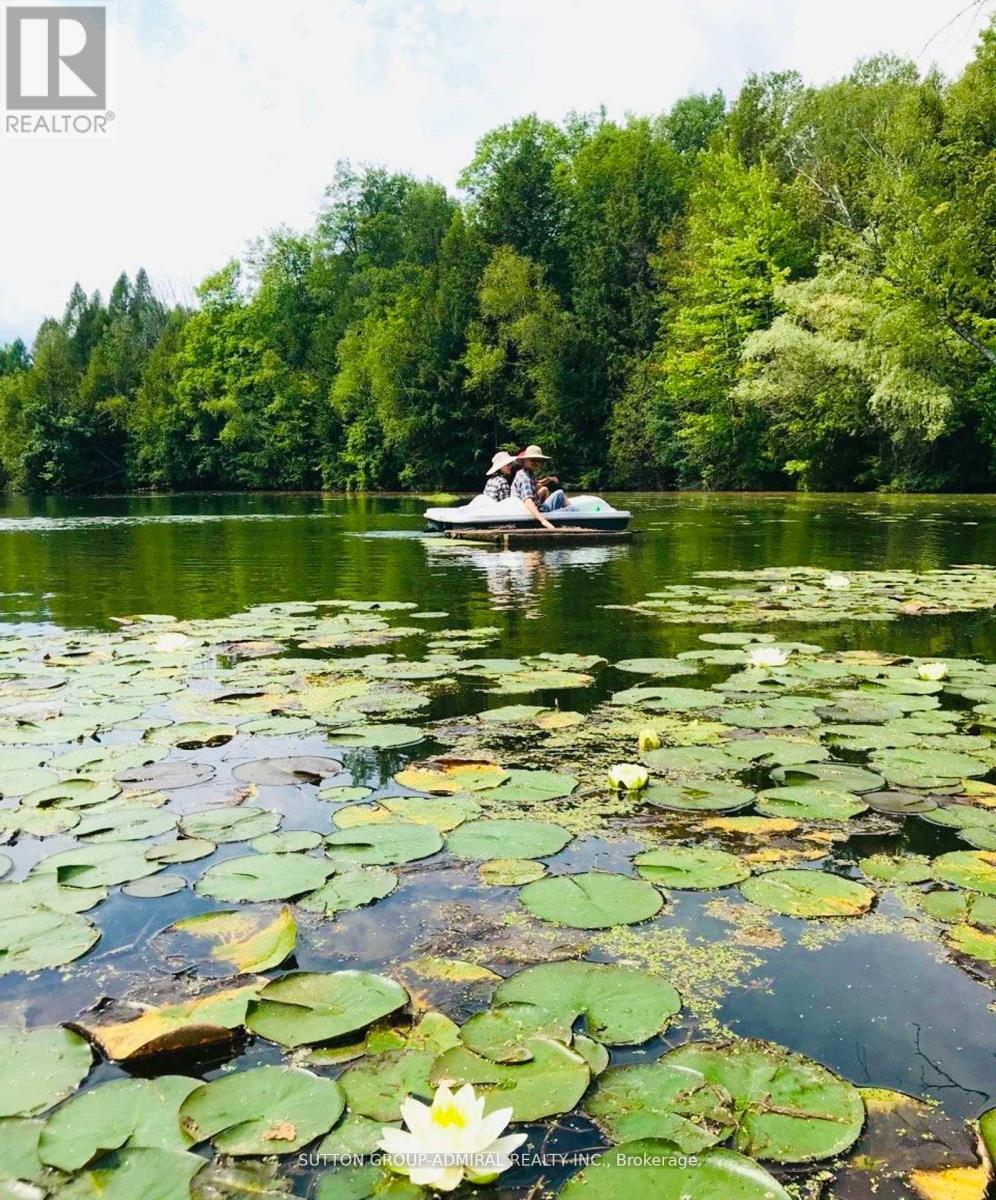 17835 Mccowan Road, East Gwillimbury, Ontario  L0G 1E0 - Photo 26 - N13040102