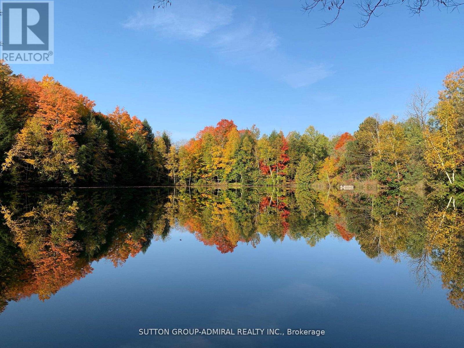 17835 Mccowan Road, East Gwillimbury, Ontario  L0G 1E0 - Photo 27 - N13040102