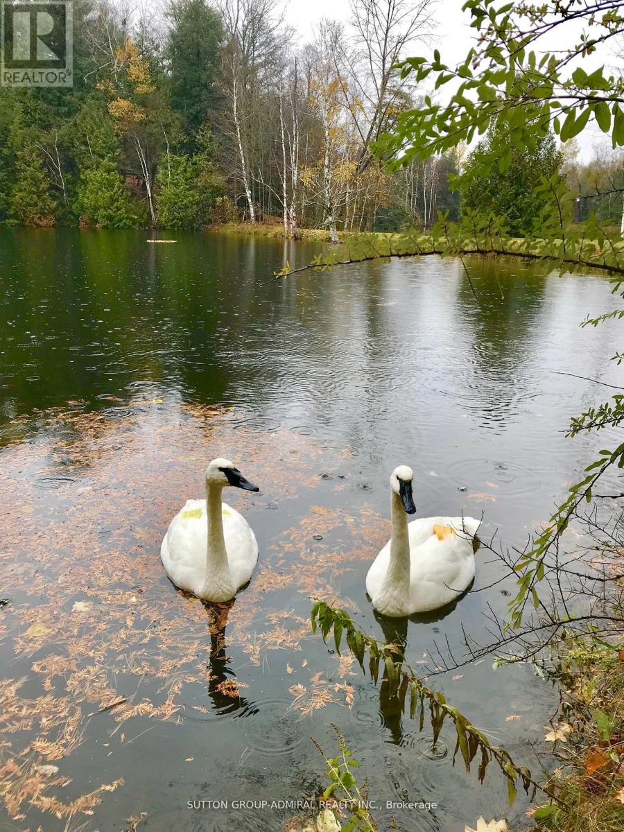 17835 Mccowan Road, East Gwillimbury, Ontario  L0G 1E0 - Photo 28 - N13040102