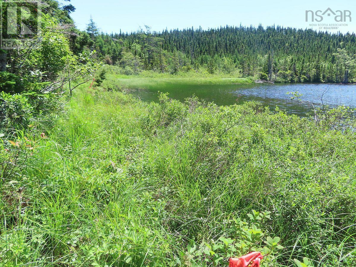 Lot 3 Upper Grand Mira Road, Upper Grand Mira, Nova Scotia  B1K 1M1 - Photo 10 - 202511220