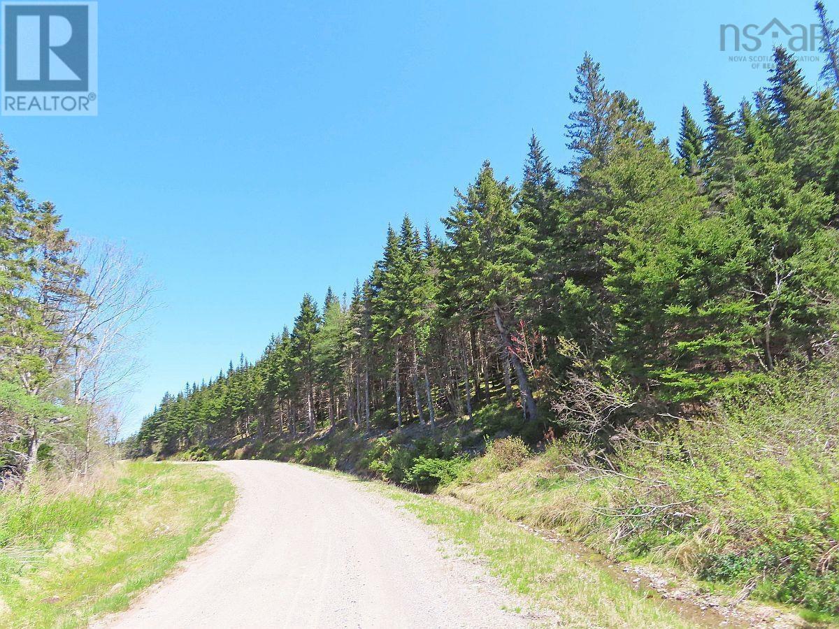 Lot 3 Upper Grand Mira Road, Upper Grand Mira, Nova Scotia  B1K 1M1 - Photo 12 - 202511220