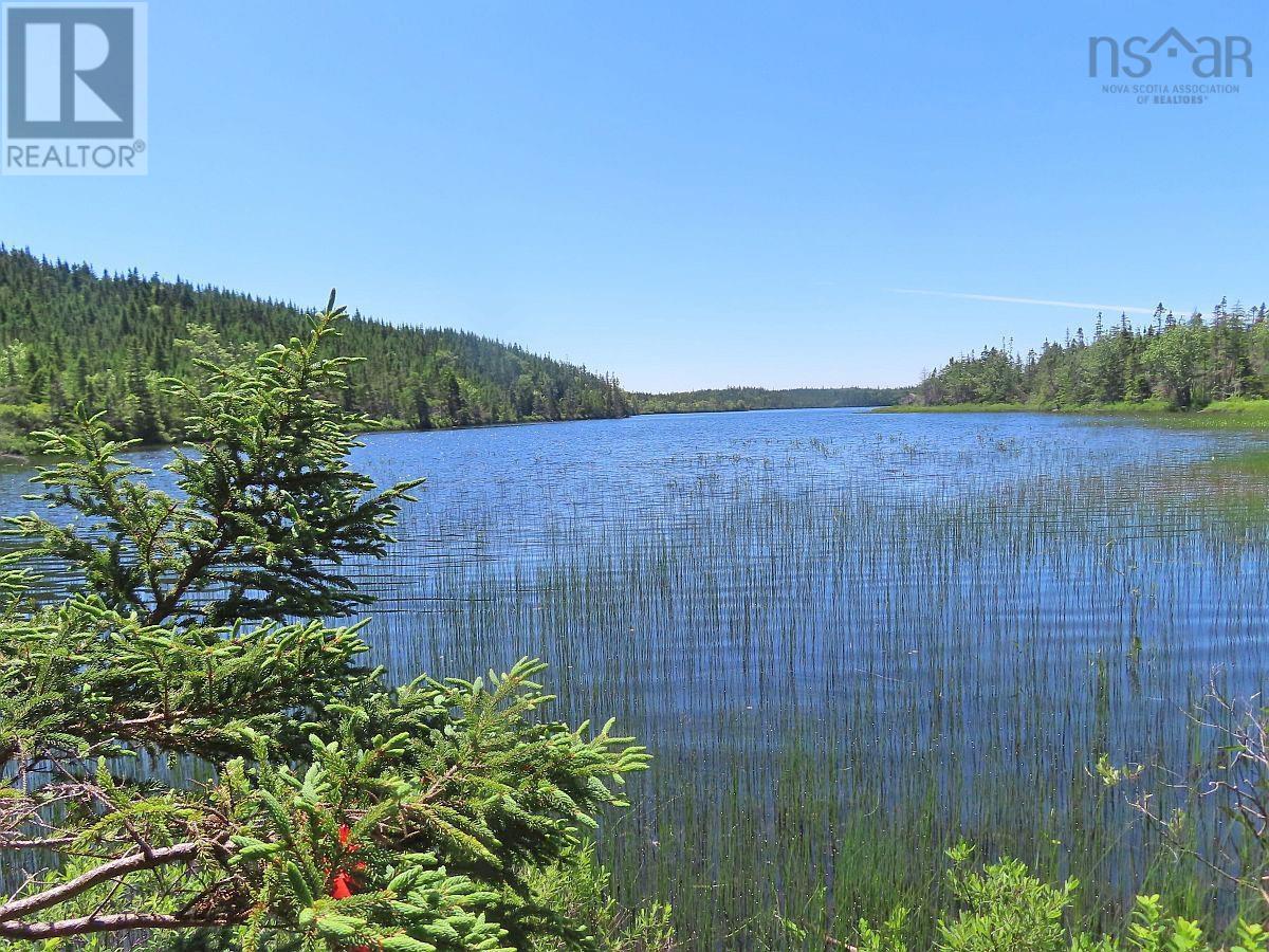 Lot 3 Upper Grand Mira Road, Upper Grand Mira, Nova Scotia  B1K 1M1 - Photo 8 - 202511220