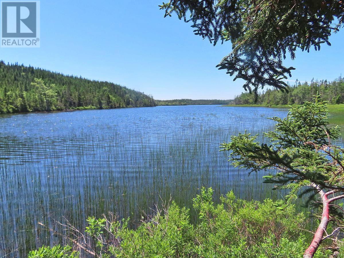 Lot 3 Upper Grand Mira Road, Upper Grand Mira, Nova Scotia  B1K 1M1 - Photo 5 - 202511220