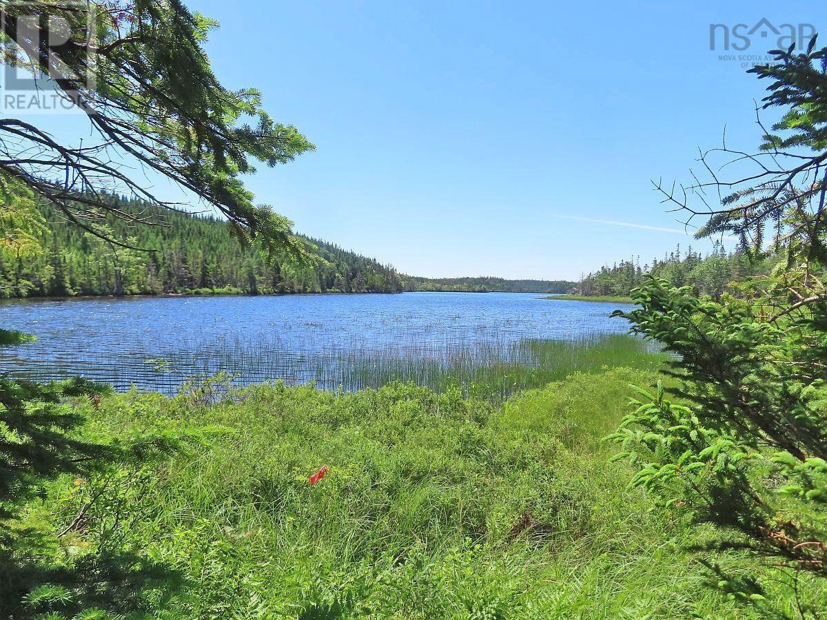 Lot 3 Upper Grand Mira Road, Upper Grand Mira, Nova Scotia  B1K 1M1 - Photo 9 - 202511220