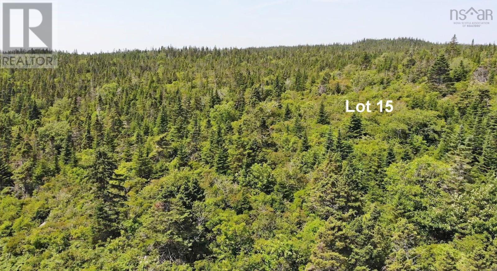 Lots 15&15-1 Hwy 316 (English Hbr), Cole Harbour, Nova Scotia  B0H 1T0 - Photo 31 - 202514326