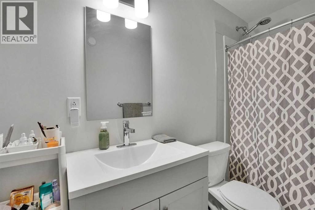 244 Thomlison Avenue, Red Deer, Alberta  T4P 3E6 - Photo 32 - A2304707