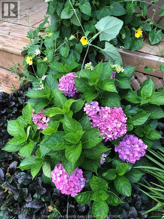 135 Essex Boulevard, Amherstburg, Ontario  N9V 2Y8 - Photo 31 - 26009112