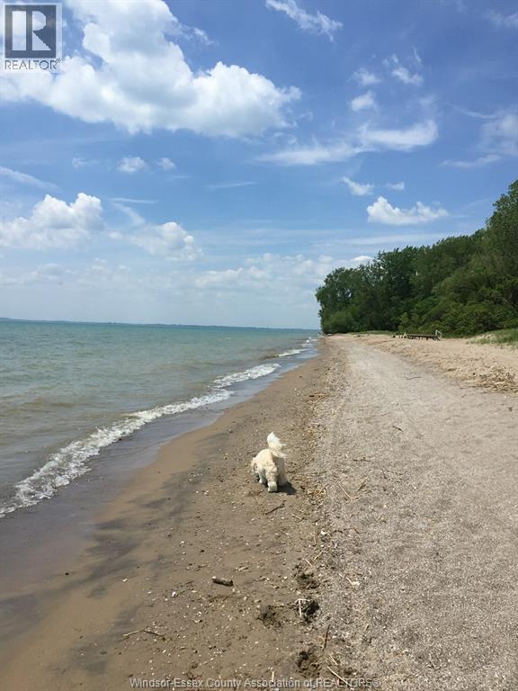 135 Essex Boulevard, Amherstburg, Ontario  N9V 2Y8 - Photo 38 - 26009112