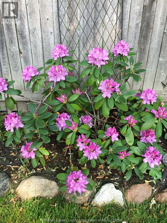 135 Essex Boulevard, Amherstburg, Ontario  N9V 2Y8 - Photo 49 - 26009112