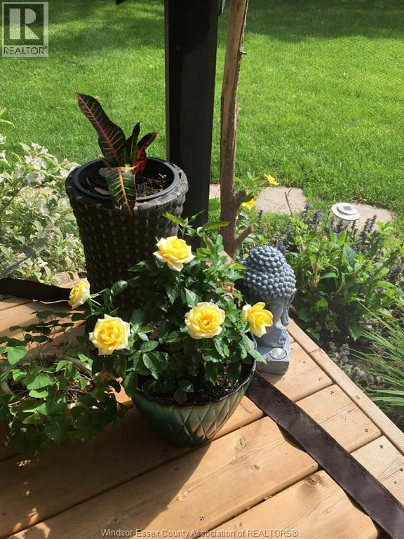 135 Essex Boulevard, Amherstburg, Ontario  N9V 2Y8 - Photo 50 - 26009112