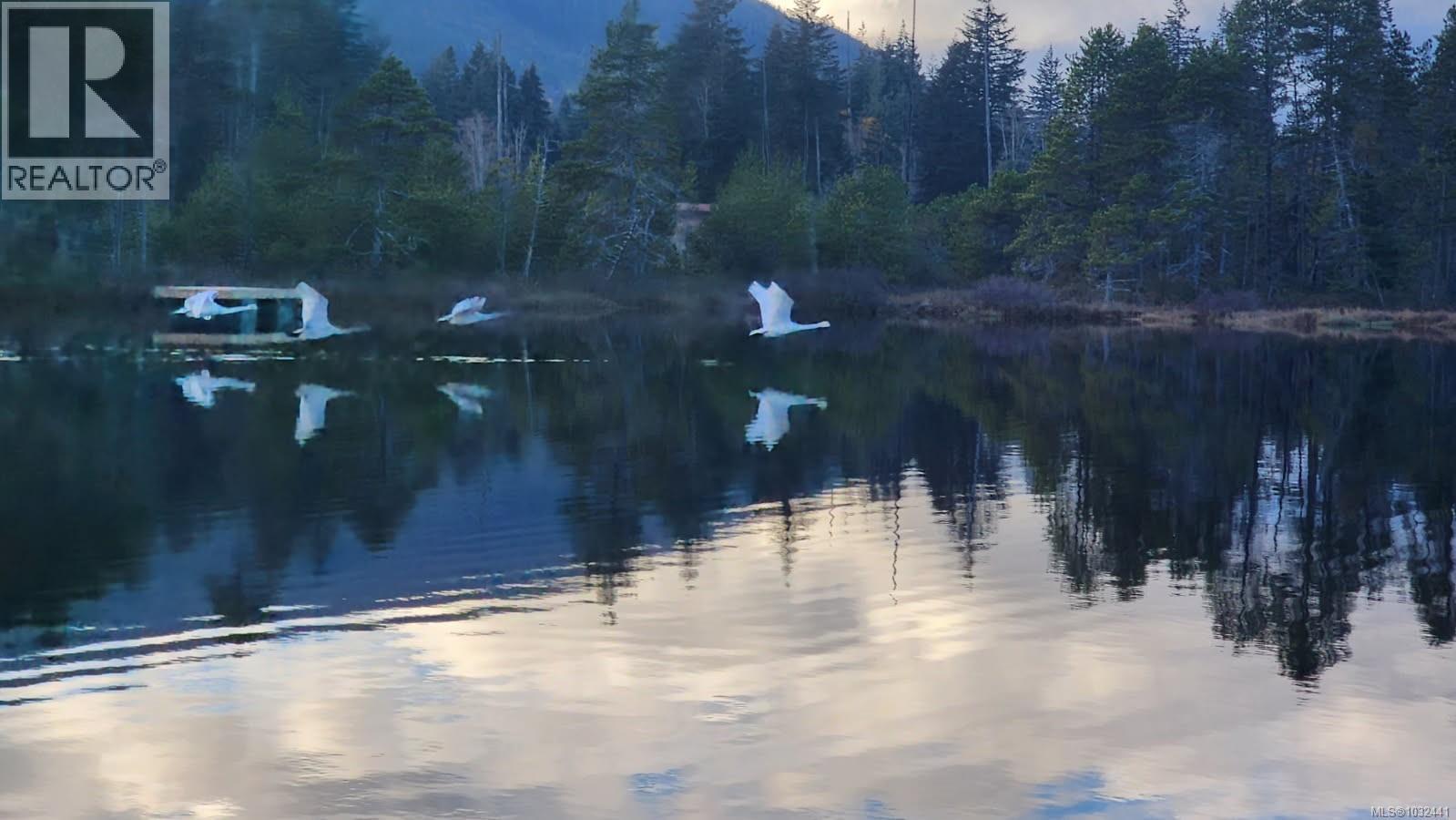 2030 Spike Rd, Merville, British Columbia  V9J 1N5 - Photo 9 - 1032441