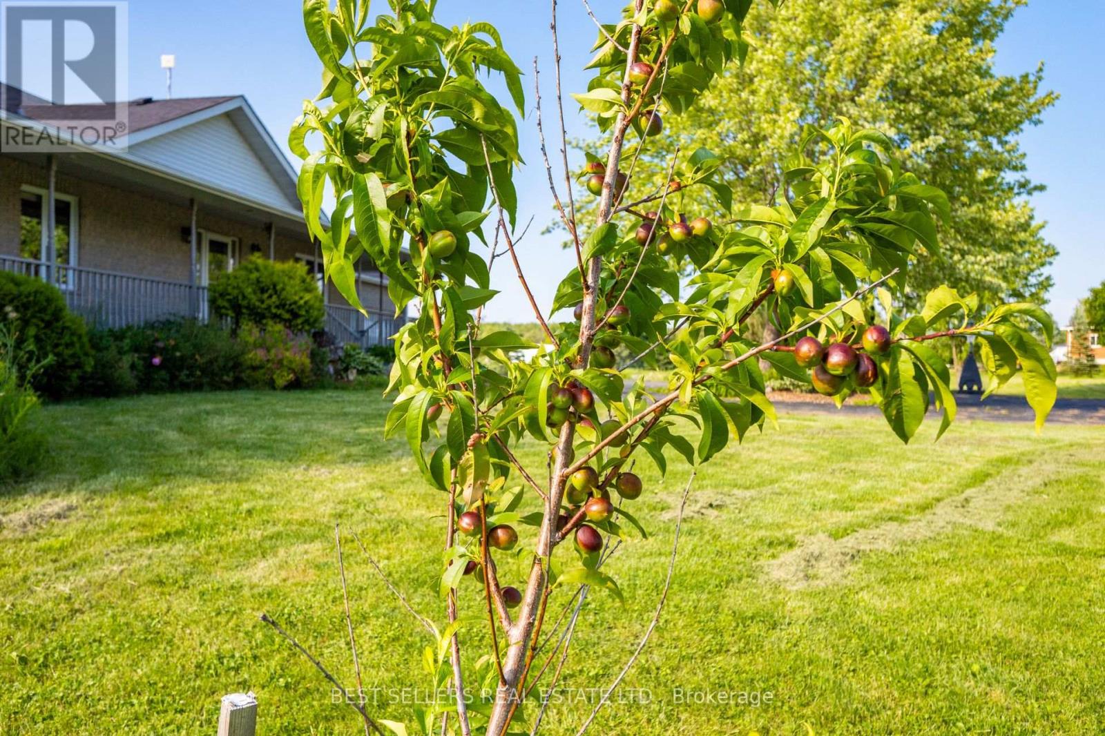 14 Pioneer Ridge Court, Essa, Ontario  L0L 1N0 - Photo 9 - N12613812