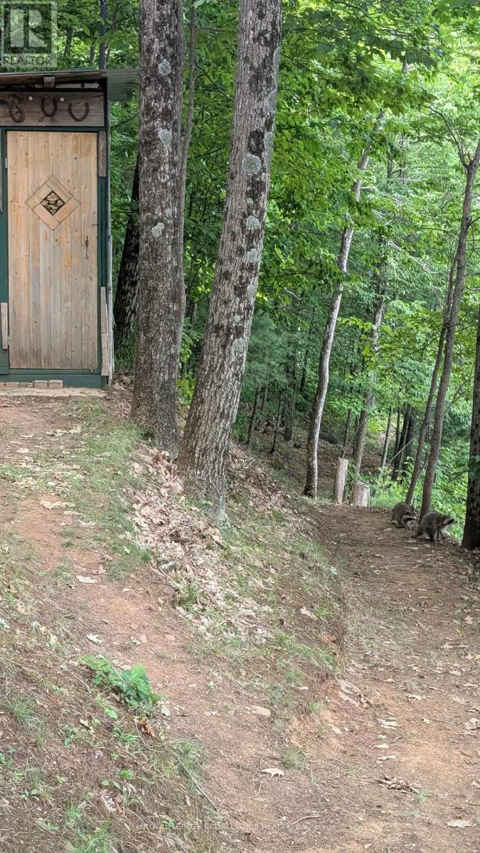 2556a Road 506 Road, Frontenac, Ontario  K0H 1K0 - Photo 5 - X13040264