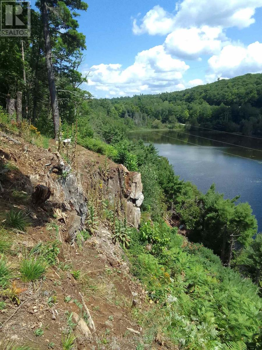 2556a Road 506 Road, Frontenac, Ontario  K0H 1K0 - Photo 8 - X13040264